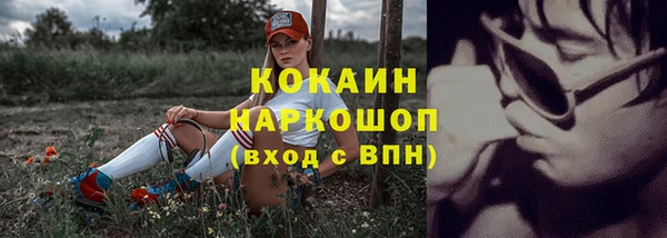 соль ск Алзамай
